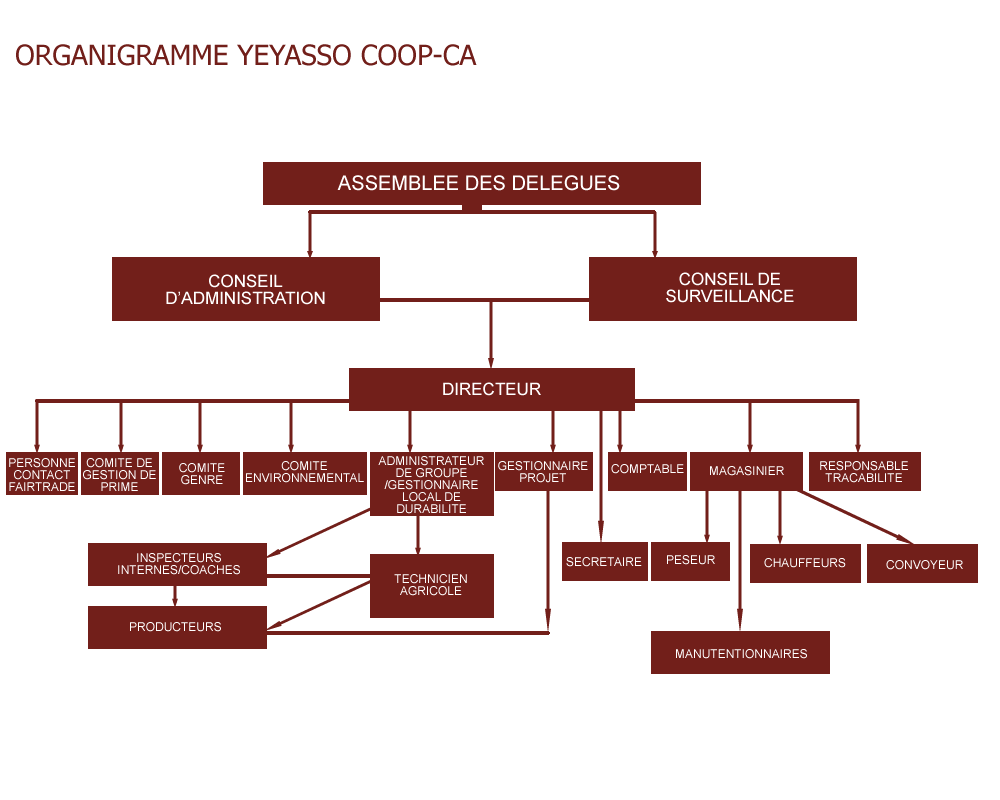 organigramme